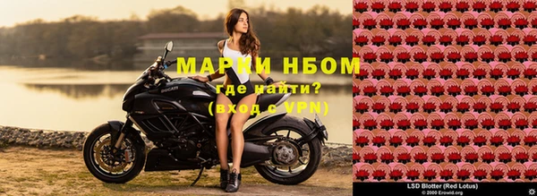 прущая мука Дмитровск