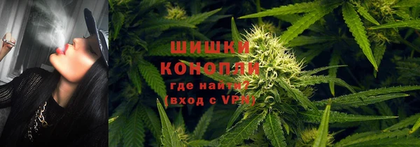 мяу мяу мука Дмитров