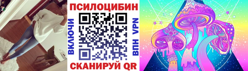 Купить где  Михайлов  Псилоцибиновые грибы ЛСД 