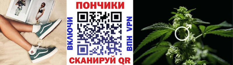 Бошки марихуана семена  Купить где  Михайлов 